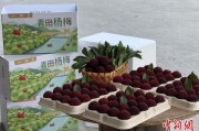 姻缘合盘高速赋能产业升级：一条“杨梅路”的致富密码